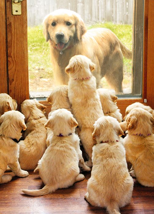 Mother's Day Greeting Card Mom At Door