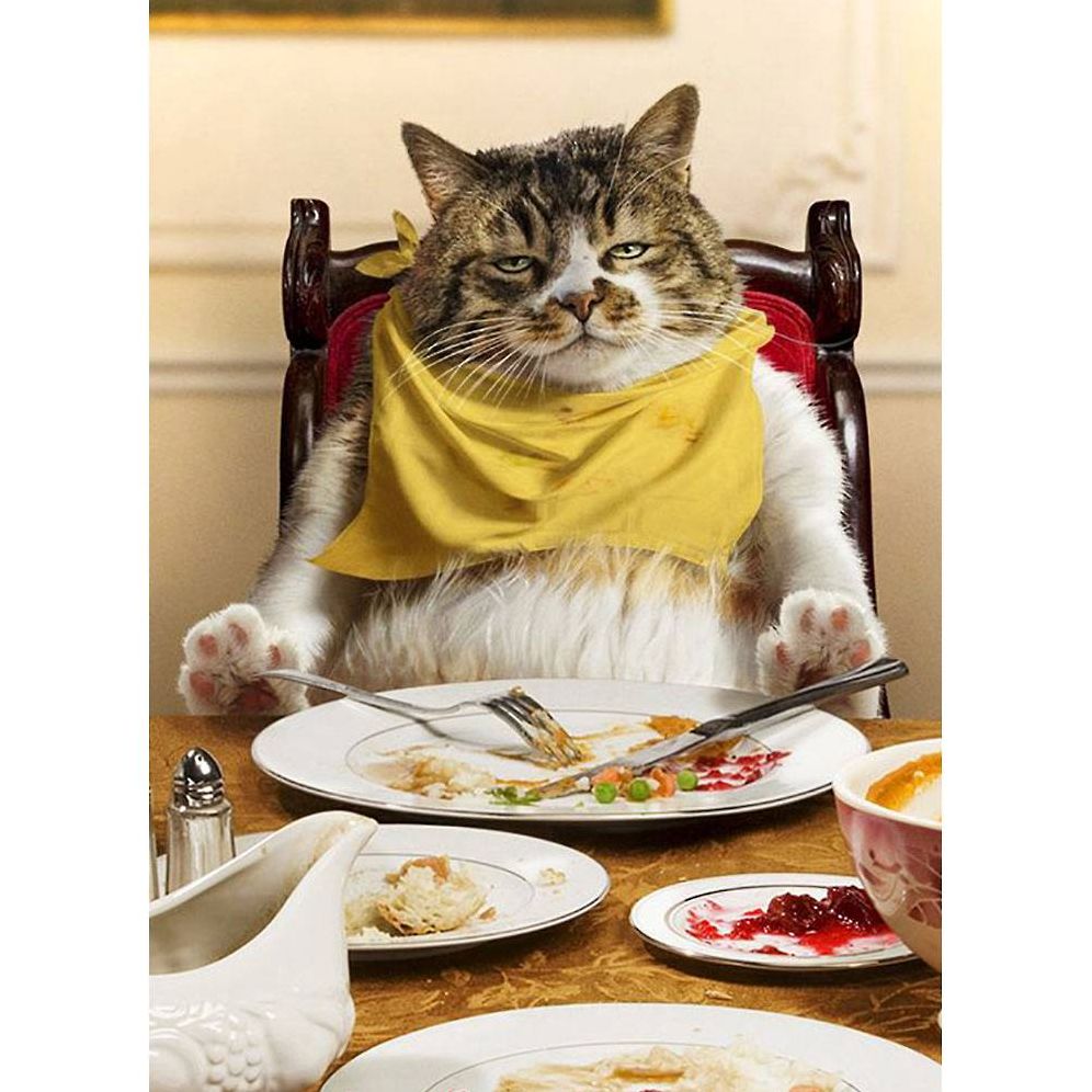Fat Cat Asleep At Table Thanksgiving Card