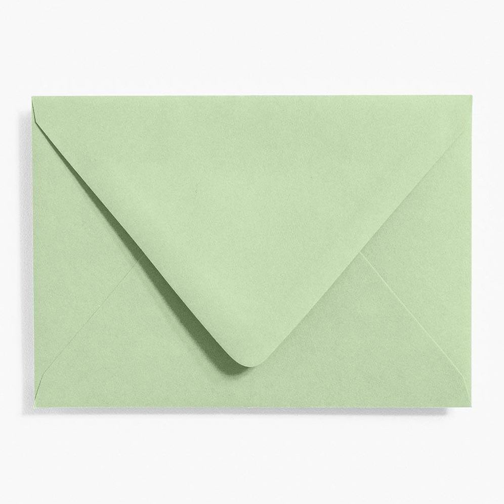 Eucalyptus 4 Bar Envelopes