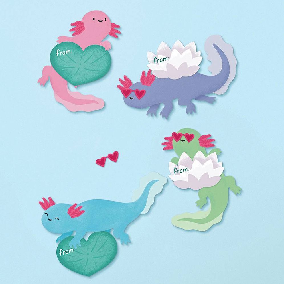 Axolotl Valentines Kit