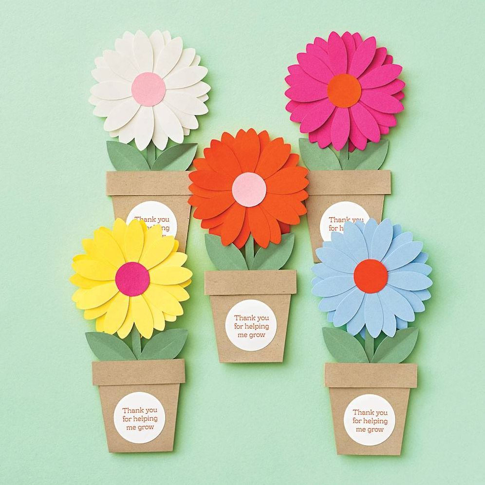 Daisy Thank You Card Kit