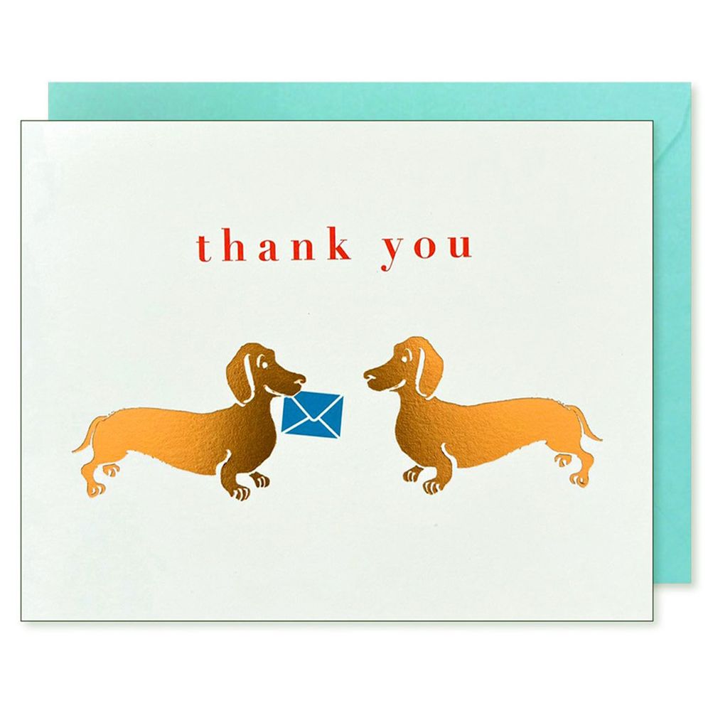 Dachshunds Thank You Card