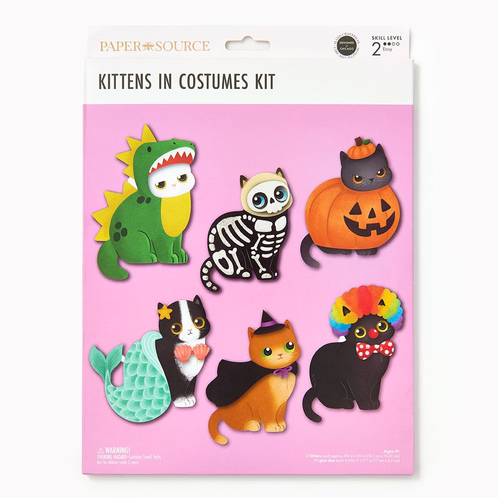 Kittens in Costumes Kit