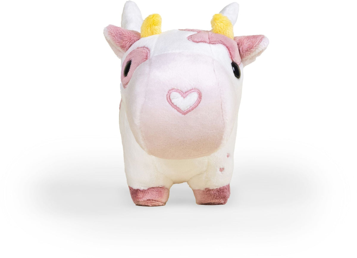 Mini Valentine's Mooi