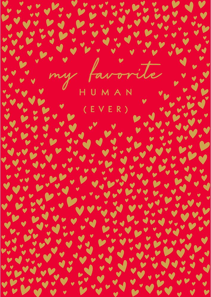 Favorite Human Valentine's Day Greeting Card