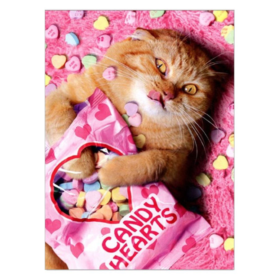 Sweetheart Cat Valentine's Day Greeting Card