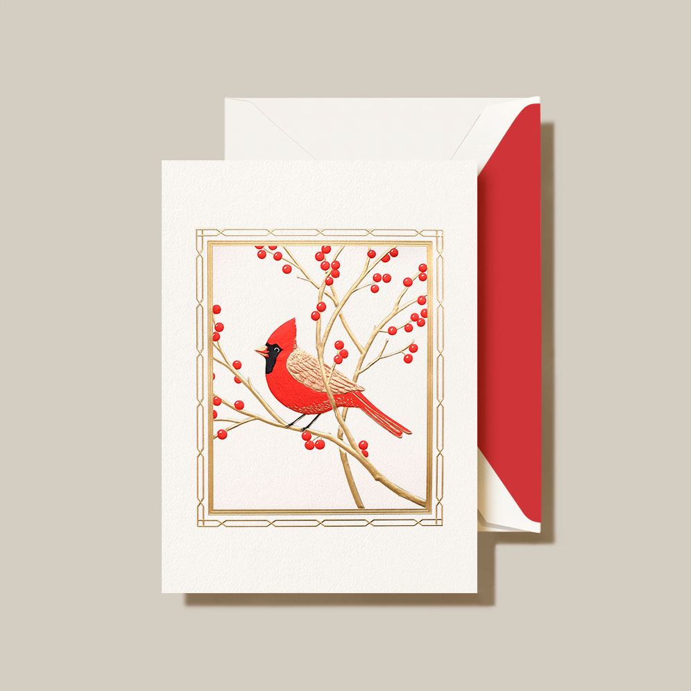 Christmas Cardinal Statinery Set