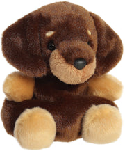 Houdini Dachshund 5" Palm Pals