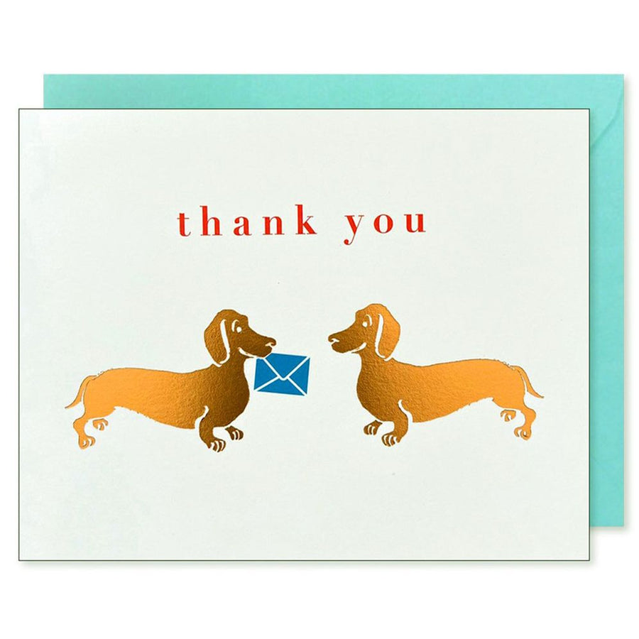 Dachshunds Thank You Card