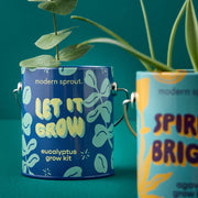 Complimentary Color Grow Kit - Let it Grow - Eucalyptus