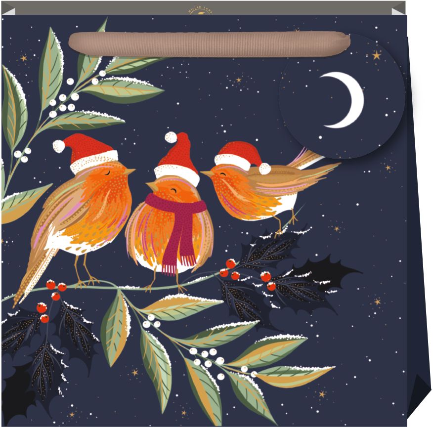 Robins Medium Gift Bag