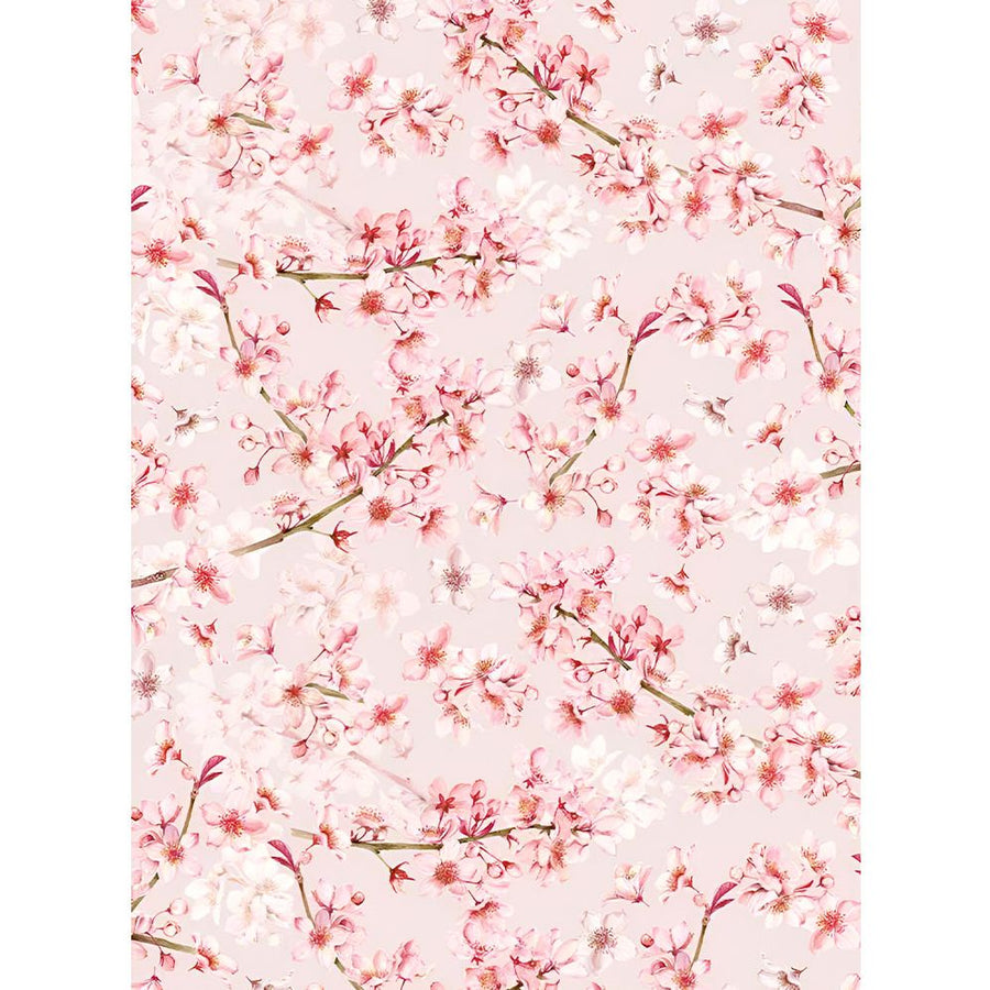 Fiori Di Ciliegio Flat Sheet
