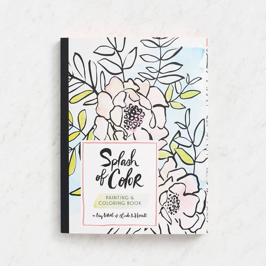 Splash of Color Painting & Coloring Book