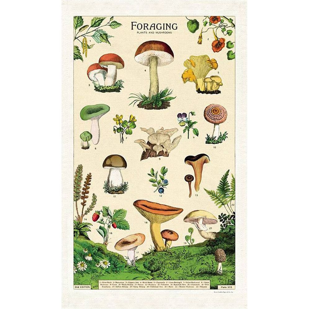 Cavallini & Co. Foraging Tea Towel