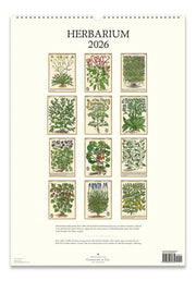 2026 Cavallini Herbarium Wall Calendar