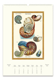 2026 Cavallini Sea Life Wall Calendar