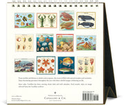 2027 Sea Life Desk Calendar