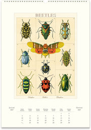 2027 Entomology Wall Calendar